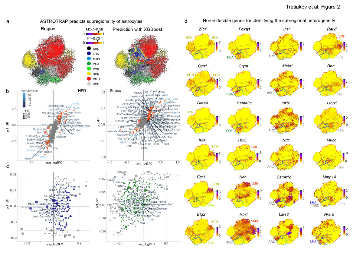 Figure 2 from Jasna’s coauthored preprint, showing astrocyte clusters and spatial gene-expression maps.